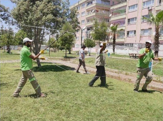 Haliliye’de Sineklerle Mücadelede Yeni Yöntem