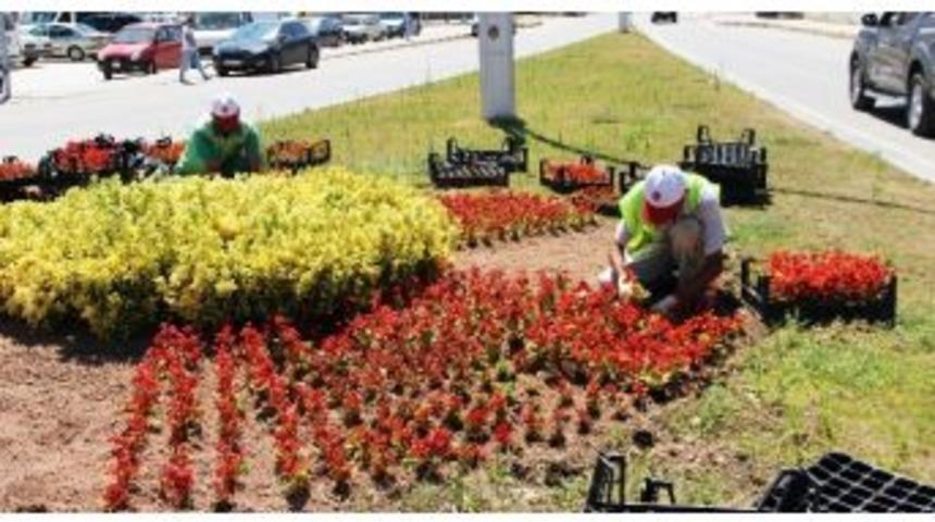 &Ccedil;ankırı&rsquo;ı &Ccedil;i&ccedil;eklerle Donatılıyor