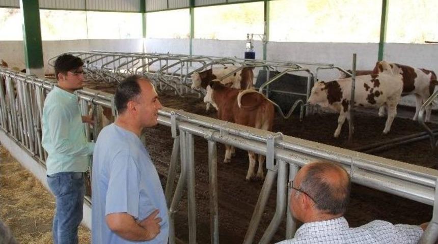 Suni Tohumlama Projesi &Ccedil;alışmaları Meyvelerini Vermeye Başladı