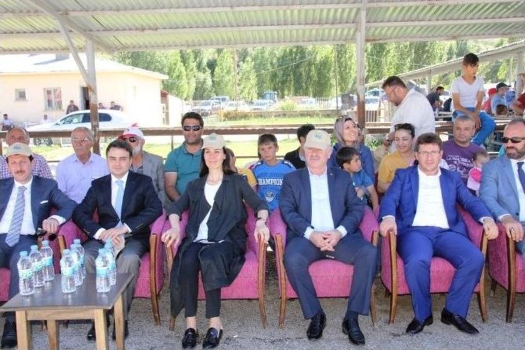 Bayburt&rsquo;un En G&uuml;zel Buzağıları Se&ccedil;ildi