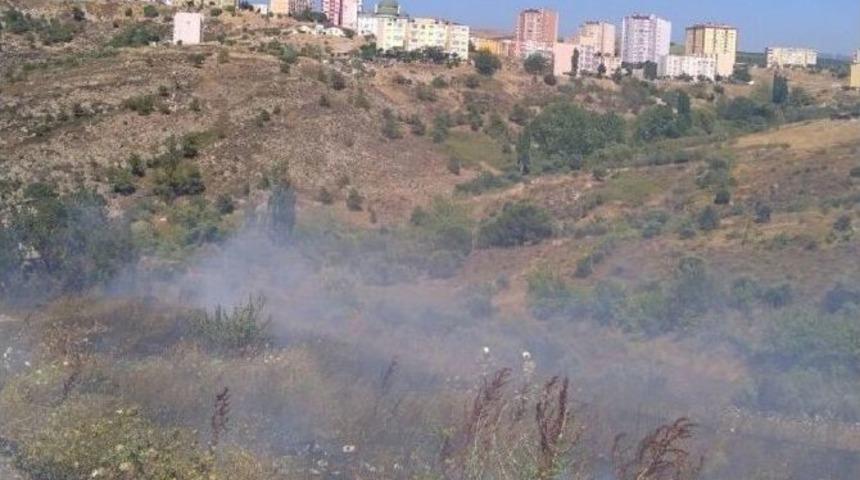 Bandırma&rsquo;da Arazi Yangını