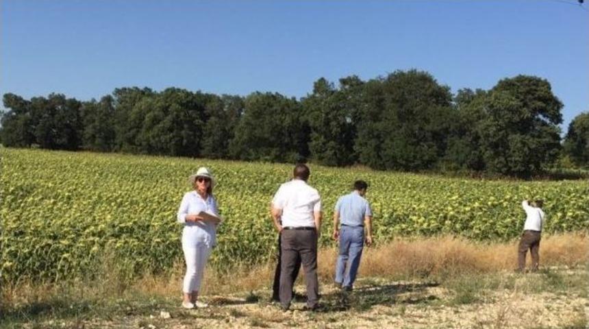 Keşan&rsquo;da Keşif Ve Bilirkişi İncelemesi