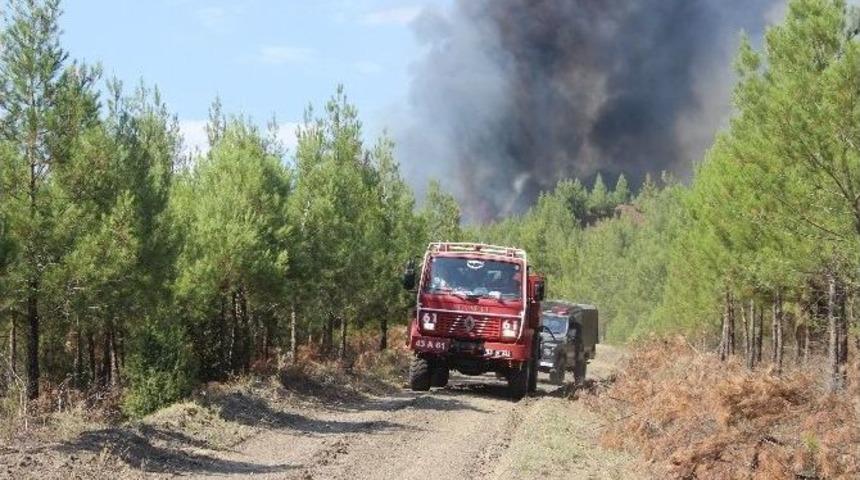 K&uuml;tahya&rsquo;da Orman Yangını
