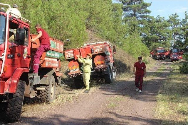 Kütahya’da Orman Yangını