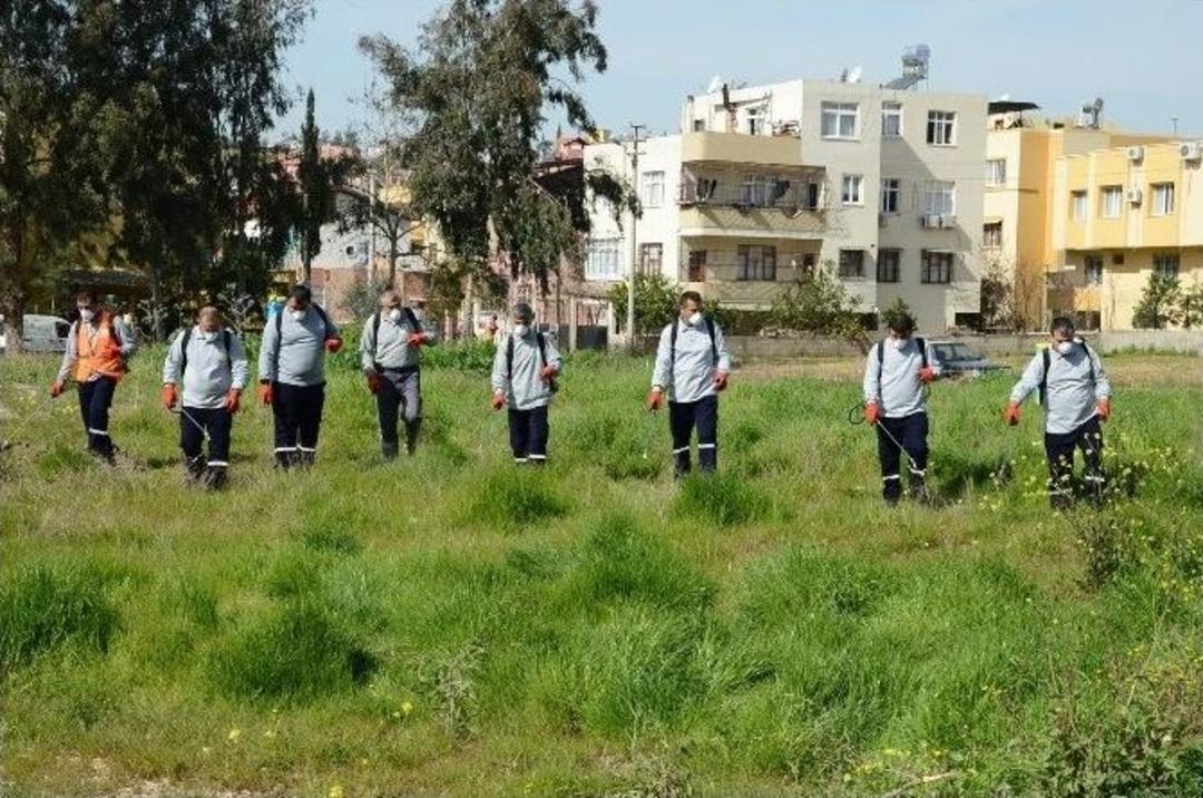 Sivrisinek Ve Haşereyle M&uuml;cadele