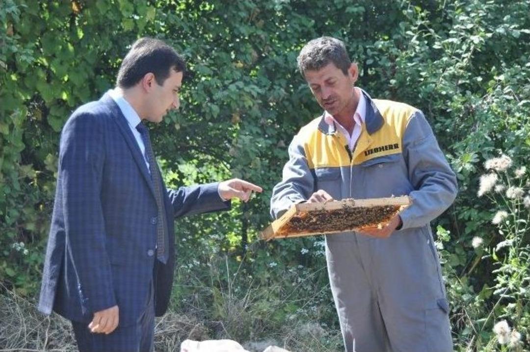 Her Derde Deva Bal