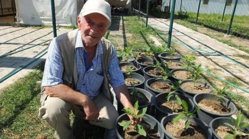 Burhaniye&rsquo;de Emekli Albay Darbecilere Lanet Yağdırdı