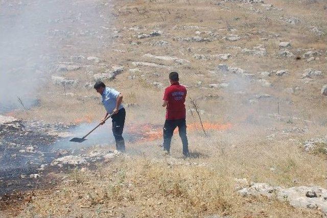 Adıyaman’da Orman Yangını Büyüyor