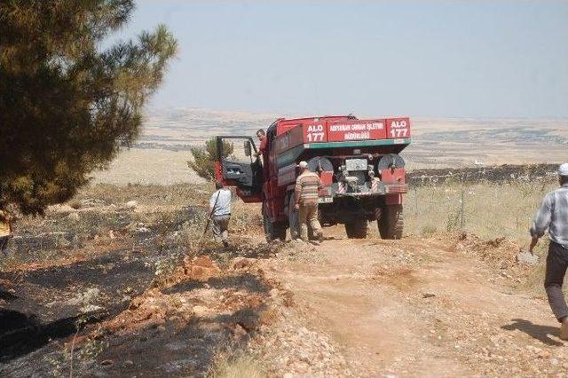 Adıyaman’da, Orman Yangını Kontrol Altına Alındı