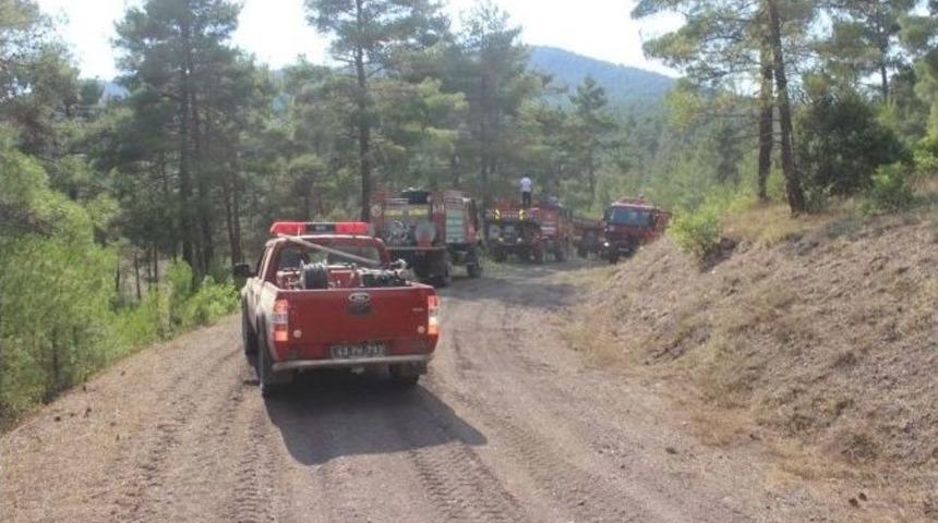 K&uuml;tahya&rsquo;daki Orman Yangını Kontrol Altına Alındı