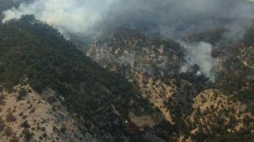 Ankara&rsquo;da Orman Yangını