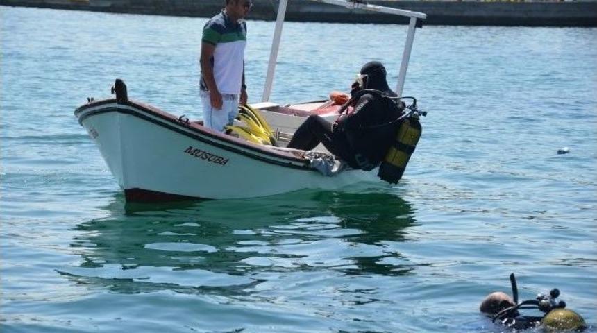 Aliağa&rsquo;da Festival Gibi Deniz Şenliği