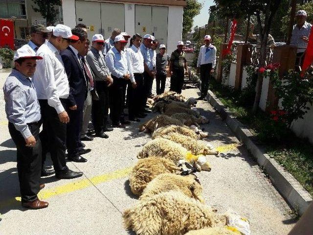 Öz-finans İş’ten 15 Temmuz Darbe Girişiminin Önlenmesi Adına 15 Kurban