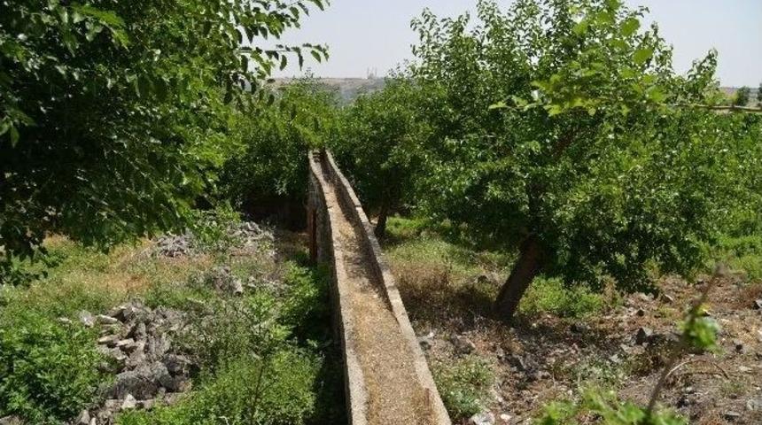 Hevsel Bah&ccedil;eleri&rsquo;ndeki Tarihi Değirmenler Restore Edilecek