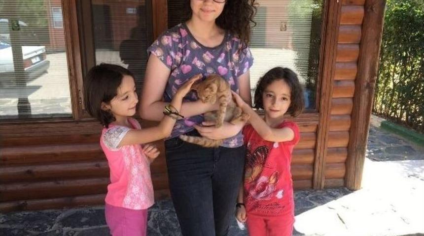 Yavru Kediye Sıcak Yuva