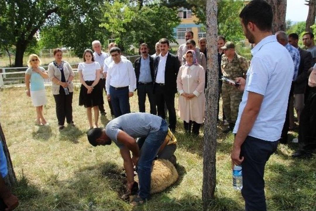Varto&rsquo;da Mevlit Okutuldu Kurban Kesildi
