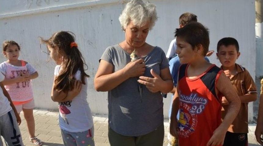 S&ouml;ke&rsquo;de Evden Ka&ccedil;an &lsquo;sultan&rsquo; Kurtarıldı