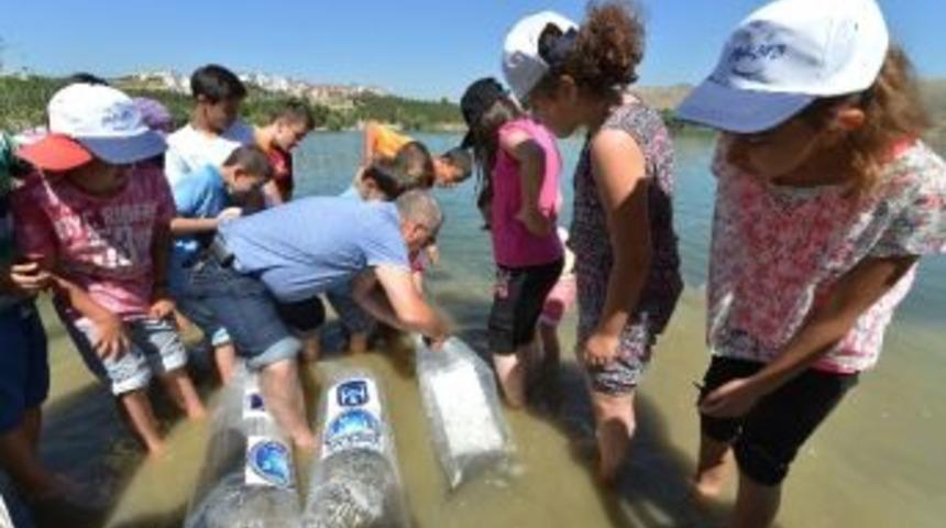 Ankara B&uuml;y&uuml;kşehir, G&ouml;letlere Balık Bırakıyor