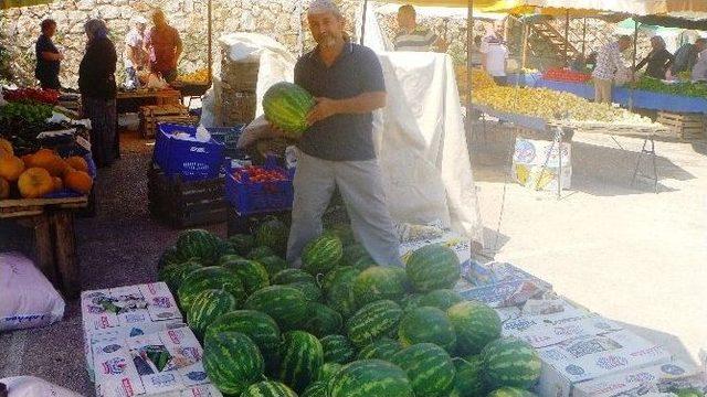 Bilecik’in Deresakarı Karpuzu Üreticinin Yüzünü Güldürüyor