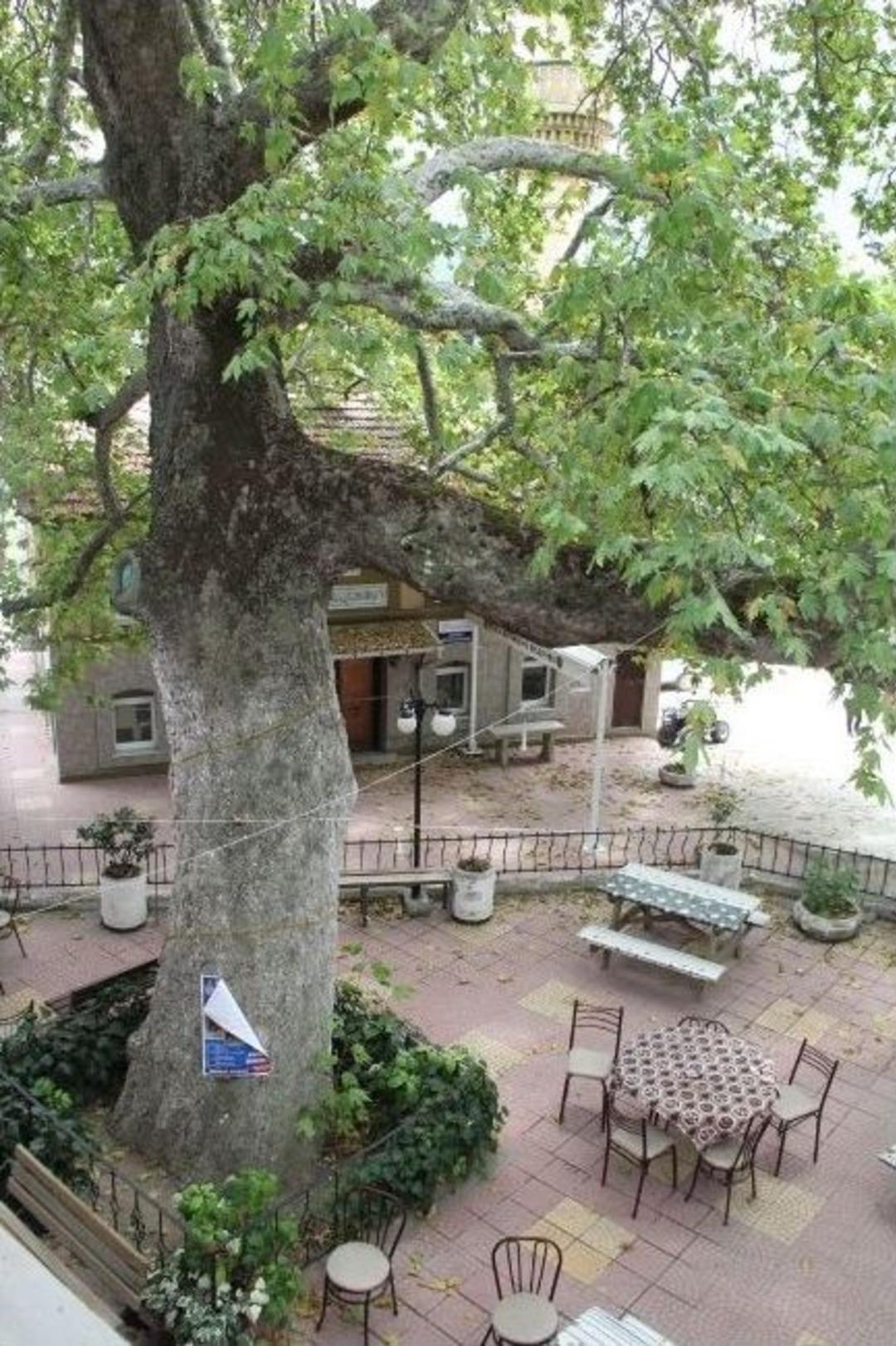 Sela Veren İmamı B&ouml;yle Darp Ettiler