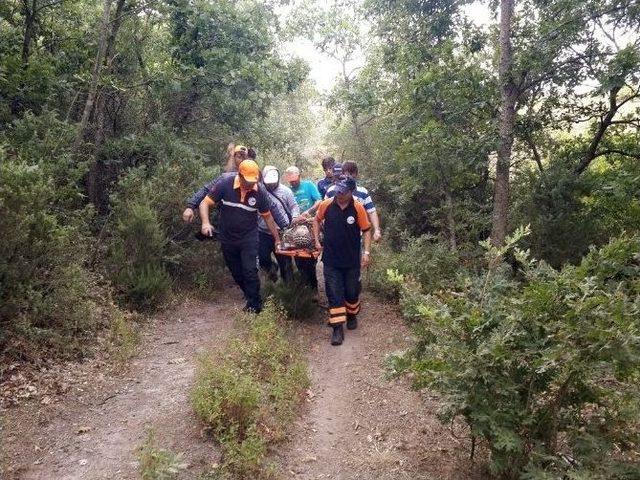 3 Gündür Kayıp Olan Alzheimer Hastası Bulundu