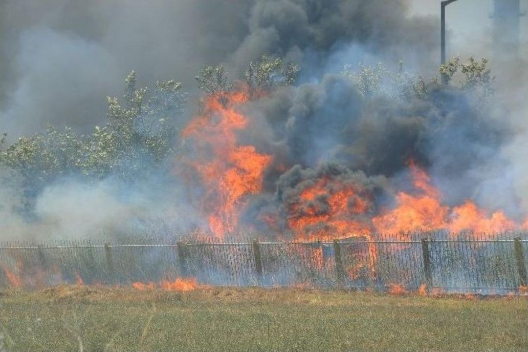 Aliağa&rsquo;da Korkutan Yangın
