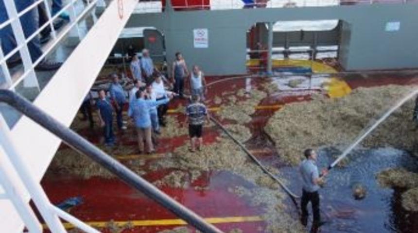 &Ccedil;anakkale&rsquo;de Feribottaki Yangın