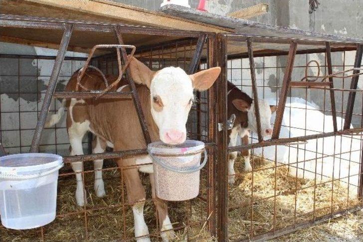 Kooperatif Ortaklarının Yüzleri Gülüyor G1