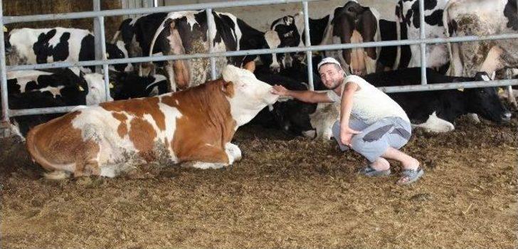 Kooperatif Ortaklarının Yüzleri Gülüyor G2