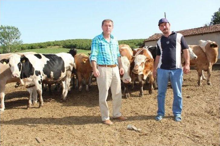 Kooperatif Ortaklarının Yüzleri Gülüyor G4