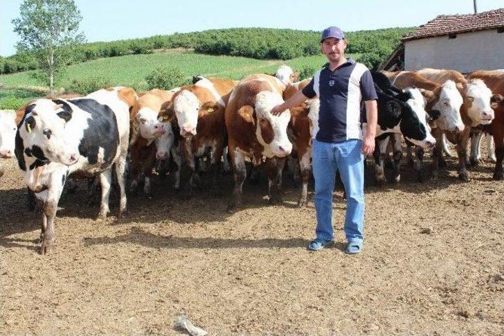 Kooperatif Ortaklarının Yüzleri Gülüyor G5