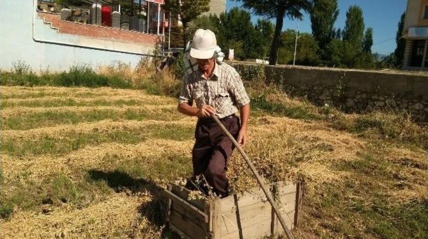 Sıfır Maliyetle Yonca Balyası