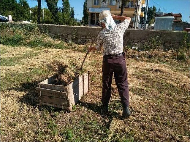 Sıfır Maliyetle Yonca Balyası