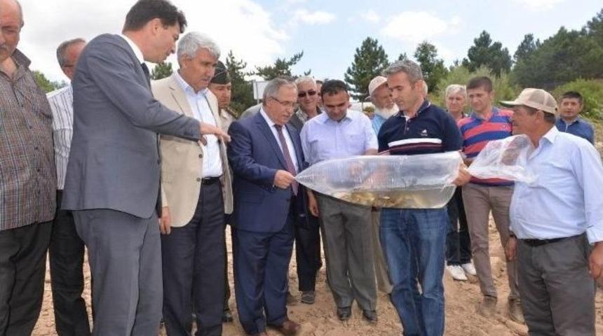 S&ouml;ki&ouml;ren G&ouml;leti&rsquo;ne Sazan Yavruları Bırakıldı