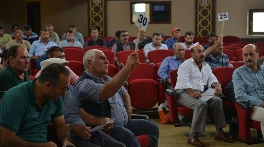 İneg&ouml;l Hayvan Pazarında Kotra İhalesi Yapıldı
