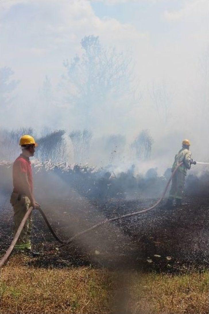 Çanakkale’deki Orman Yangını G2