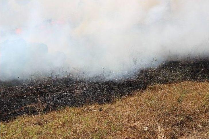 Çanakkale’deki Orman Yangını G3