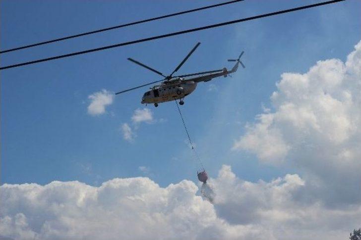 Çanakkale’deki Orman Yangını G5