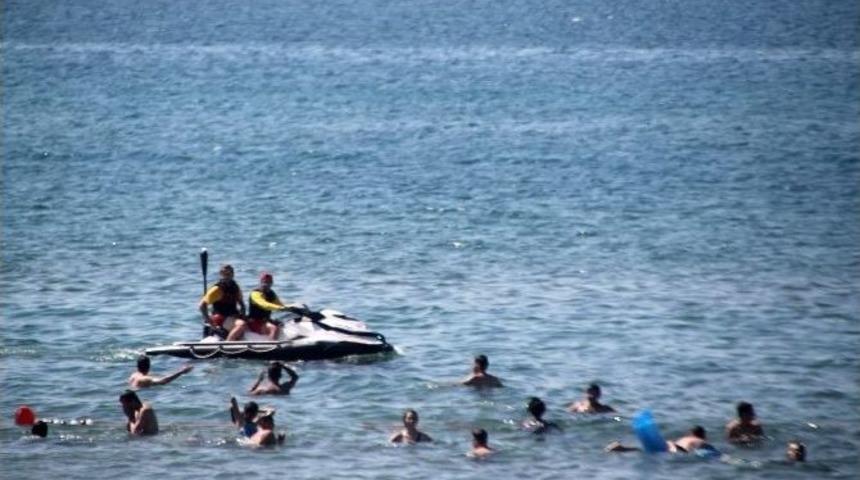 Koskem, Kocaeli Sahillerinde 71 Kişiyi Kurtardı