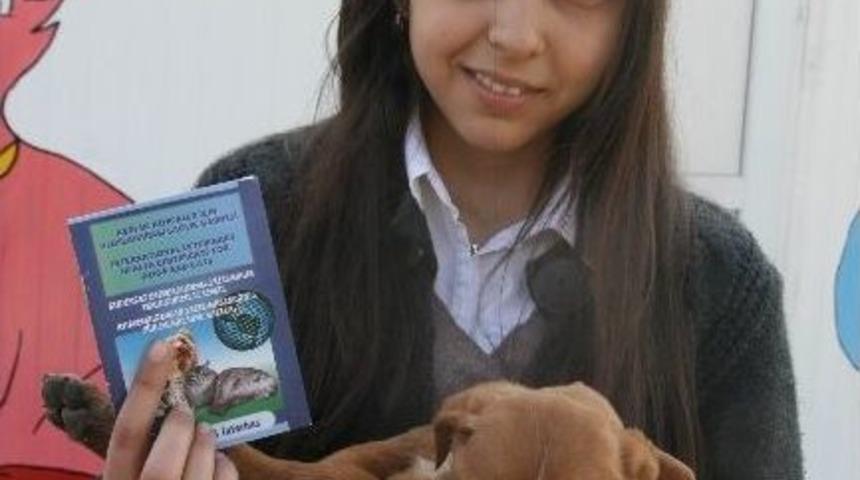 Vatandaşlardan Sokak Hayvanlarına Yardım Eli