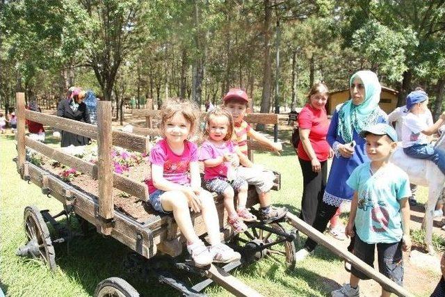 Oyuncak Kütüphanesi’nin Öğrenci Ve Velileri Piknikte Bir Araya Geldi