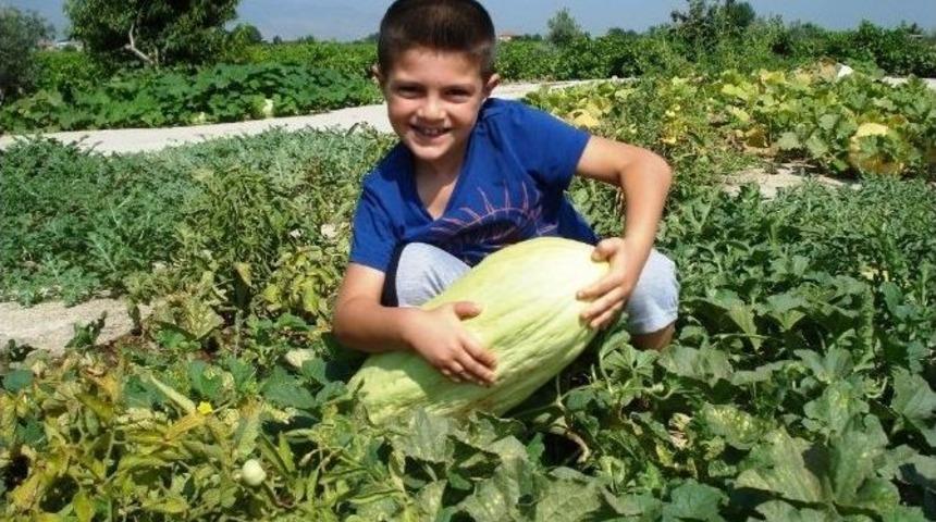 10 Kiloluk Acur G&ouml;renleri Şaşırttı