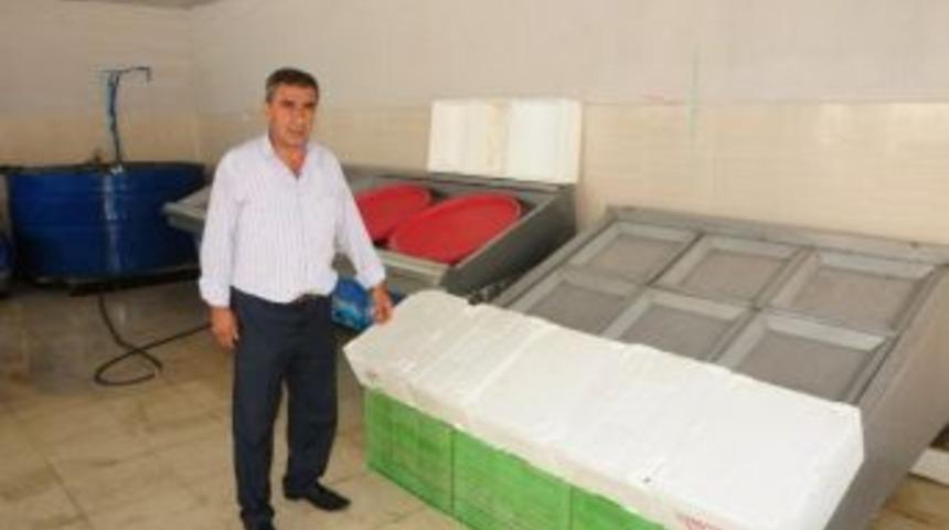 Balık Tezgahları Boş Kaldı