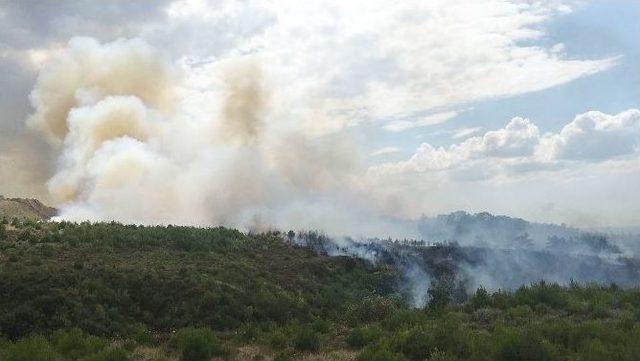 Çanakkale’deki Yangın Kontrol Altına Alındı