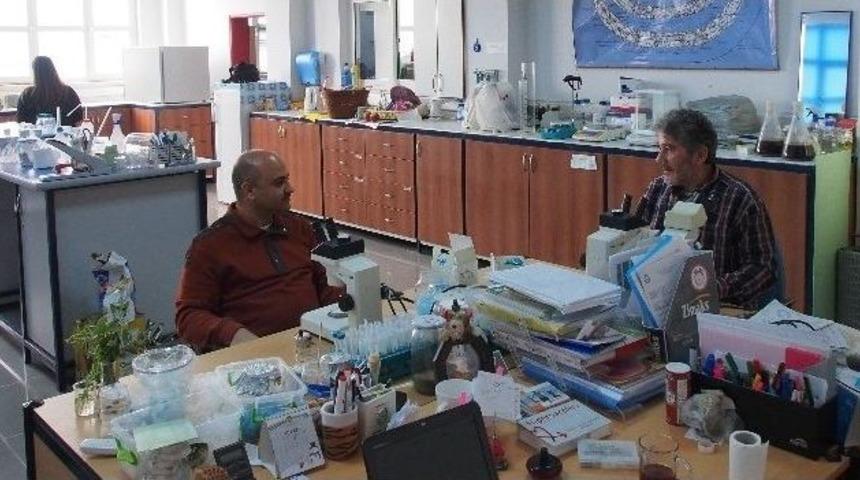 Ad&uuml; &Ouml;ğretim &Uuml;yelerine Uluslararası Onur