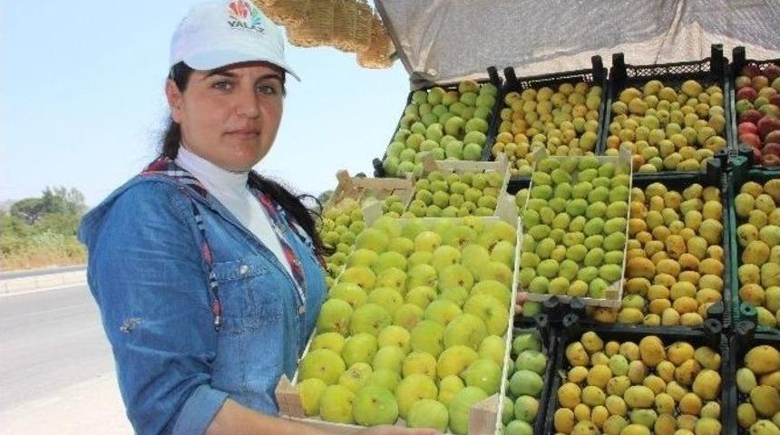 Aydın İnciri Tezgaha D&uuml;şt&uuml;