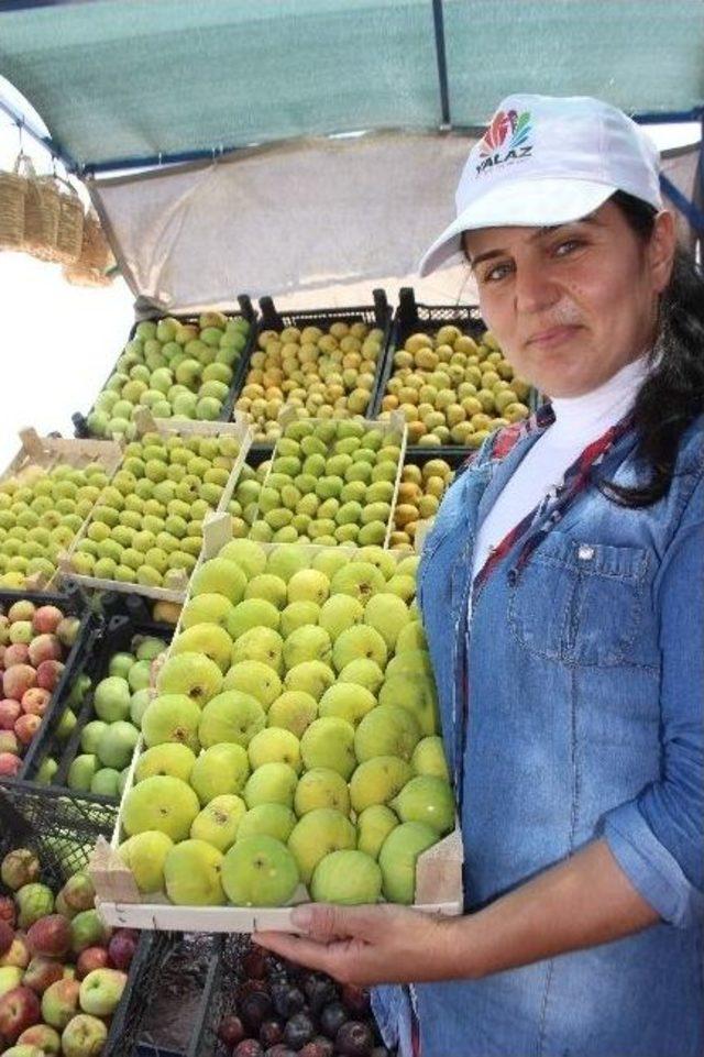 Aydın İnciri Tezgaha Düştü