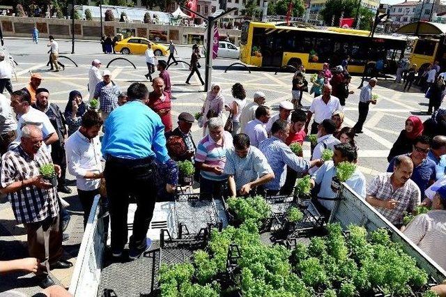 Haşereyle Mücadelede Doğal Yöntemler De Tercih Ediliyor