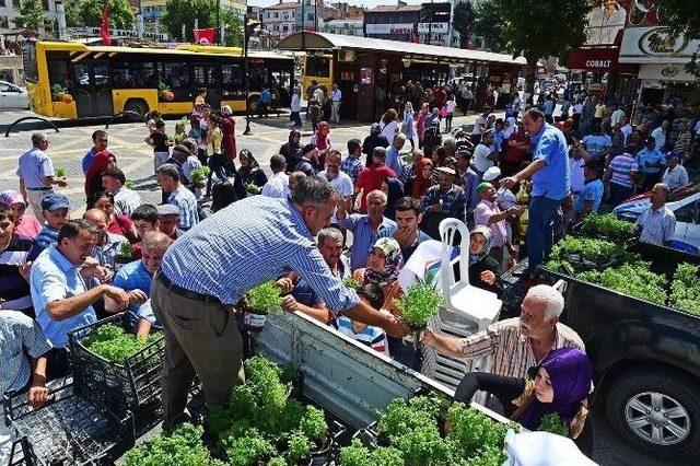 Haşereyle Mücadelede Doğal Yöntemler De Tercih Ediliyor