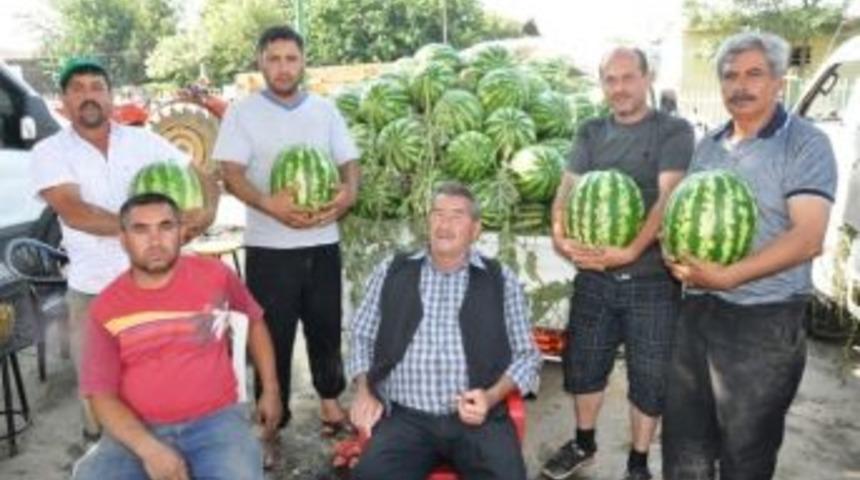 &Ouml;demiş Karpuzu Altın Yılını Yaşıyor